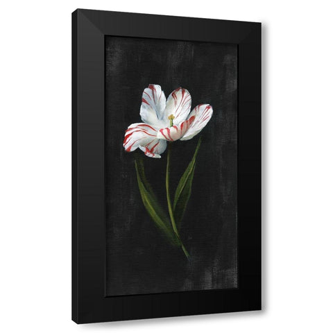 Master Botanical I Black Modern Wood Framed Art Print with Double Matting by Nan