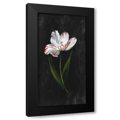 Master Botanical I Black Modern Wood Framed Art Print by Nan
