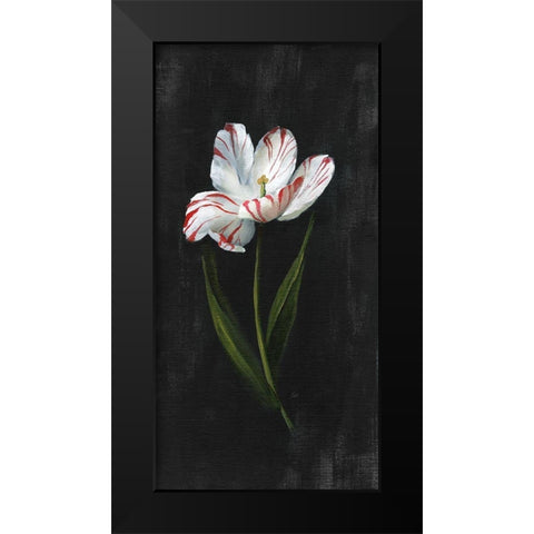 Master Botanical I Black Modern Wood Framed Art Print by Nan