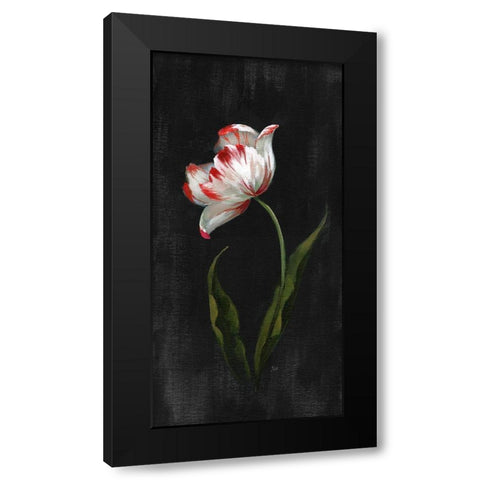 Master Botanical II Black Modern Wood Framed Art Print with Double Matting by Nan