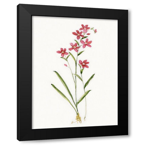 Delicate Pink I Black Modern Wood Framed Art Print with Double Matting by Swatland, Sally