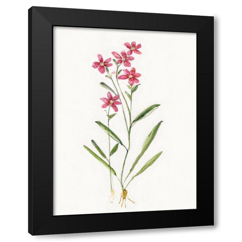 Delicate Pink II Black Modern Wood Framed Art Print with Double Matting by Swatland, Sally