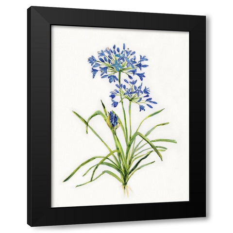 Blue Lively Botanical I Black Modern Wood Framed Art Print with Double Matting by Swatland, Sally