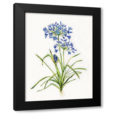 Blue Lively Botanical I Black Modern Wood Framed Art Print by Swatland, Sally