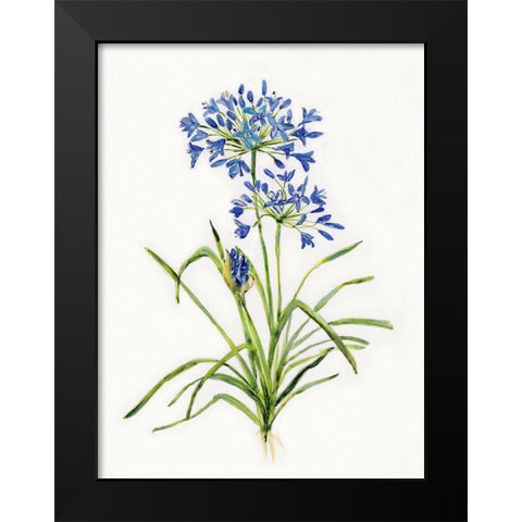 Blue Lively Botanical I Black Modern Wood Framed Art Print by Swatland, Sally