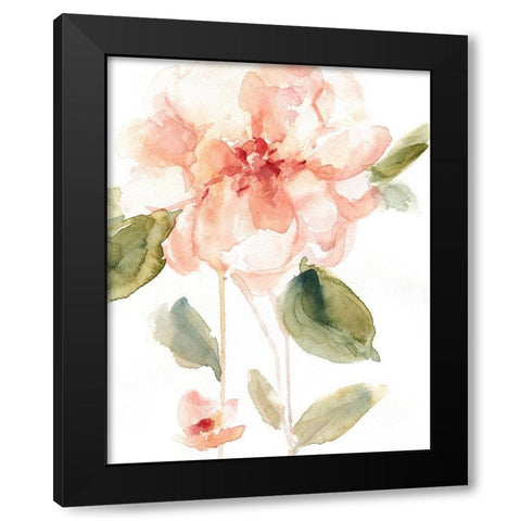 Single Perfect Bloom I Black Modern Wood Framed Art Print with Double Matting by Robinson, Carol