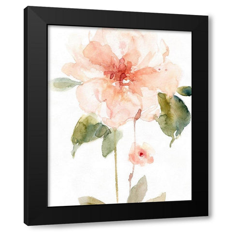 Single Perfect Bloom II Black Modern Wood Framed Art Print by Robinson, Carol