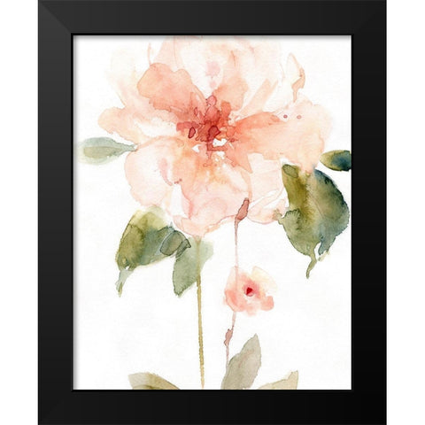 Single Perfect Bloom II Black Modern Wood Framed Art Print by Robinson, Carol