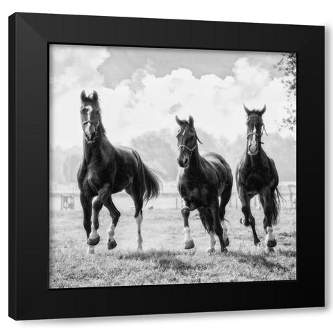 Three of a Kind Black Modern Wood Framed Art Print by Van de Goor, Lars