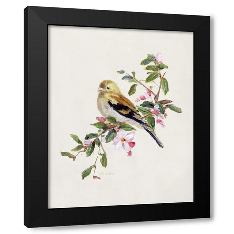 Spring Song Pine Grosbeak Black Modern Wood Framed Art Print with Double Matting by Swatland, Sally