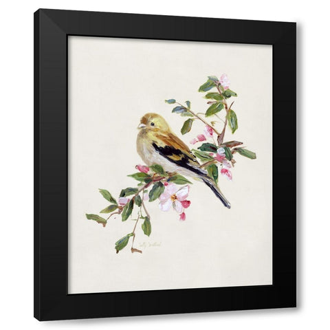 Spring Song Pine Grosbeak Black Modern Wood Framed Art Print by Swatland, Sally