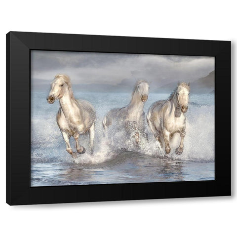 Running Wild Black Modern Wood Framed Art Print by Calascibetta, Mike