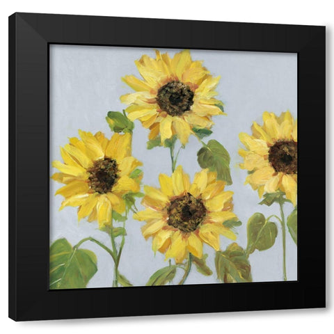 Sunflower Array II Black Modern Wood Framed Art Print with Double Matting by Swatland, Sally