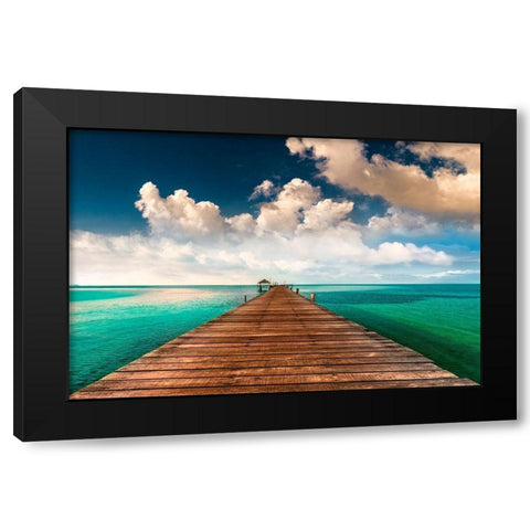 Tropic Blues Black Modern Wood Framed Art Print with Double Matting by Calascibetta, Mike