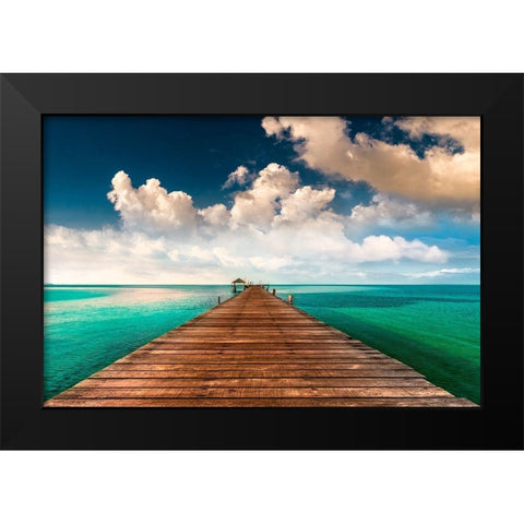 Tropic Blues Black Modern Wood Framed Art Print by Calascibetta, Mike