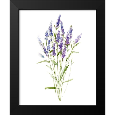 Sweet Lavender II Black Modern Wood Framed Art Print by Swatland, Sally