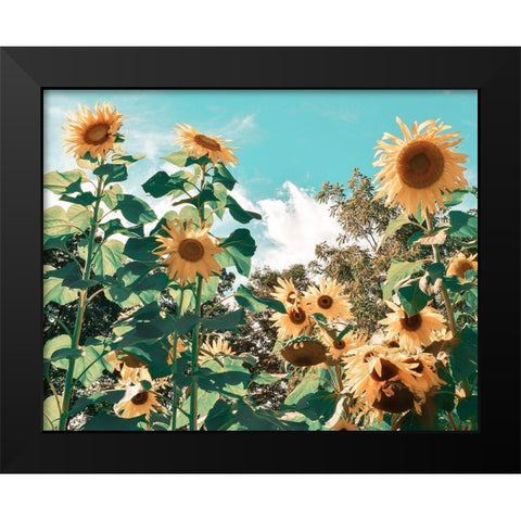 Sunflower Field Black Modern Wood Framed Art Print by Carpentieri, Natalie