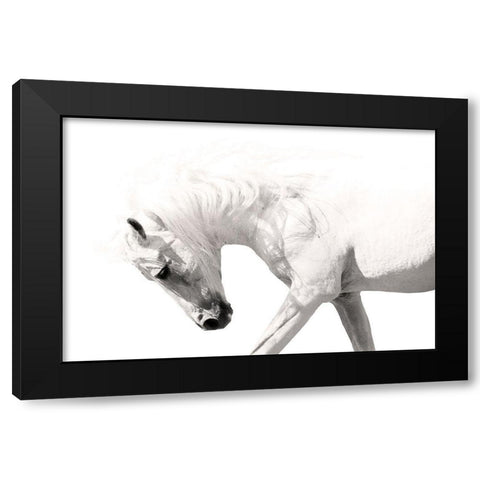 Neutral Stallion Black Modern Wood Framed Art Print with Double Matting by Klopfer, Lee