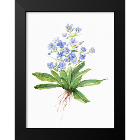 Garden Botanical I Black Modern Wood Framed Art Print by Swatland, Sally