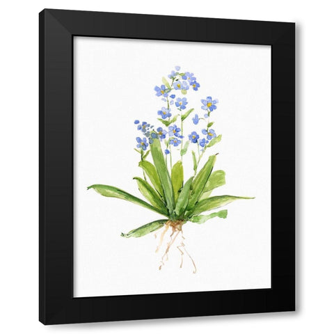 Garden Botanical II Black Modern Wood Framed Art Print by Swatland, Sally