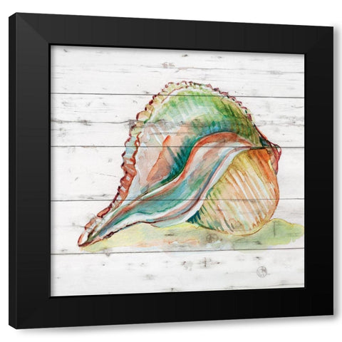 Tye Dyed Shell II Black Modern Wood Framed Art Print with Double Matting by Robinson, Carol