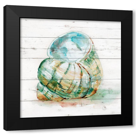 Tye Dyed Shell IV Black Modern Wood Framed Art Print with Double Matting by Robinson, Carol