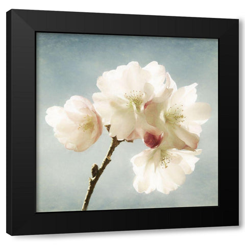 Happy Spring Black Modern Wood Framed Art Print by Van de Goor, Lars
