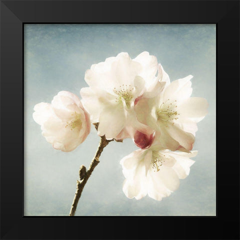 Happy Spring Black Modern Wood Framed Art Print by Van de Goor, Lars