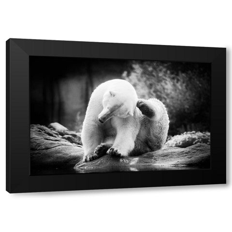 Scratching Black Modern Wood Framed Art Print by Van de Goor, Lars