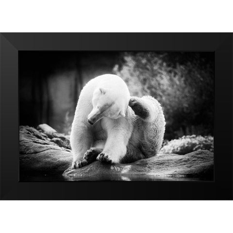 Scratching Black Modern Wood Framed Art Print by Van de Goor, Lars