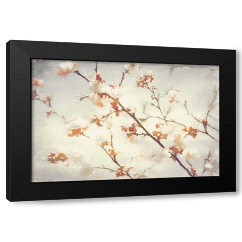 Springly Black Modern Wood Framed Art Print with Double Matting by Van de Goor, Lars