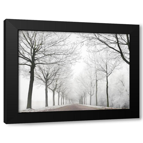 The Last Winter Black Modern Wood Framed Art Print with Double Matting by Van de Goor, Lars