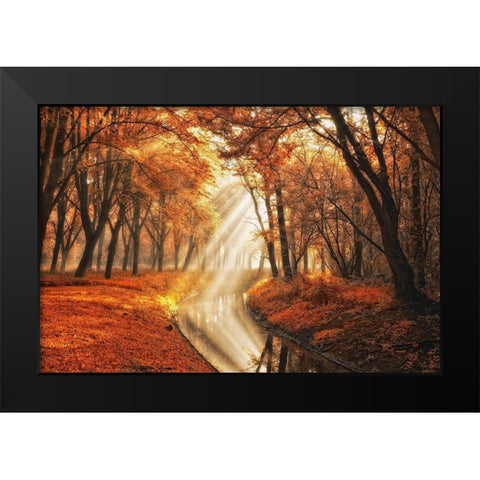 Little Black Duck Black Modern Wood Framed Art Print by Van de Goor, Lars
