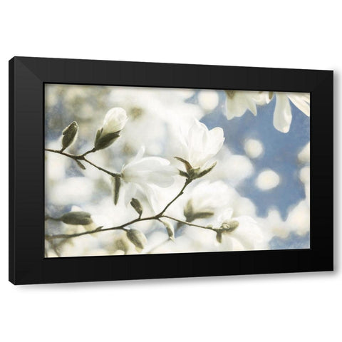 Unfolding Beauty Black Modern Wood Framed Art Print by Van de Goor, Lars