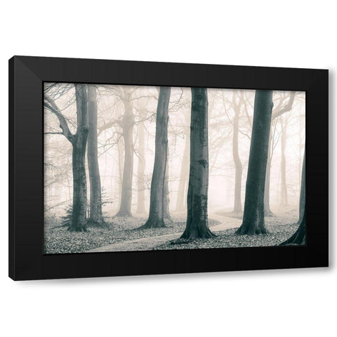 A Sunday Walk Black Modern Wood Framed Art Print with Double Matting by Van de Goor, Lars