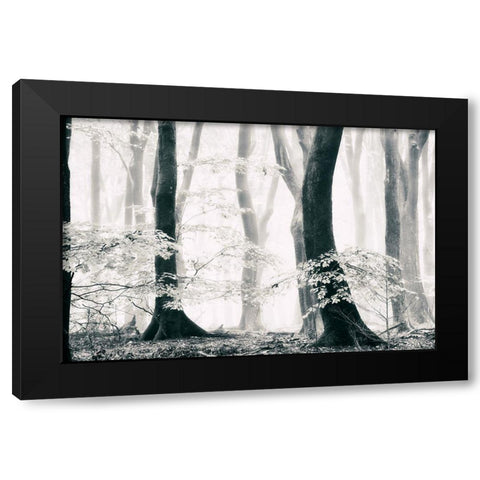 Silence of the Forest Black Modern Wood Framed Art Print by Van de Goor, Lars