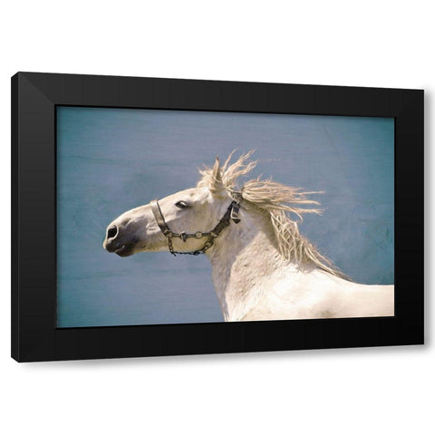 Scratch Black Modern Wood Framed Art Print by Van de Goor, Lars