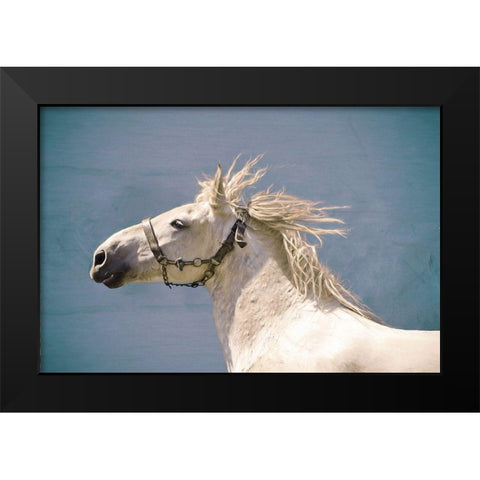 Scratch Black Modern Wood Framed Art Print by Van de Goor, Lars