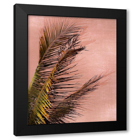 Honduras Palm Black Modern Wood Framed Art Print by Carpentieri, Natalie