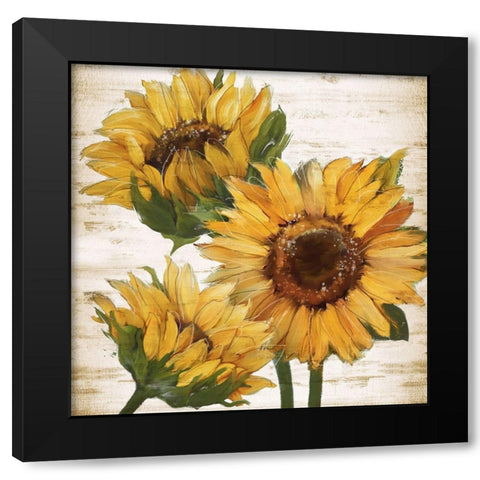 Sunflower Summer I Black Modern Wood Framed Art Print by Knutsen, Conrad