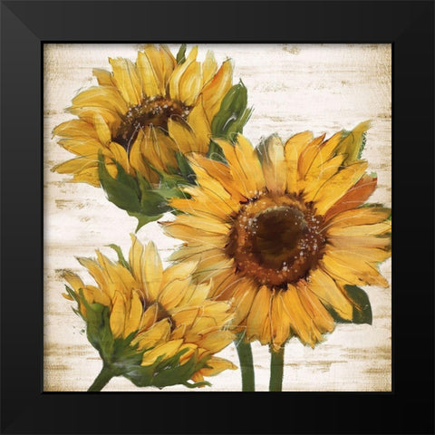 Sunflower Summer I Black Modern Wood Framed Art Print by Knutsen, Conrad