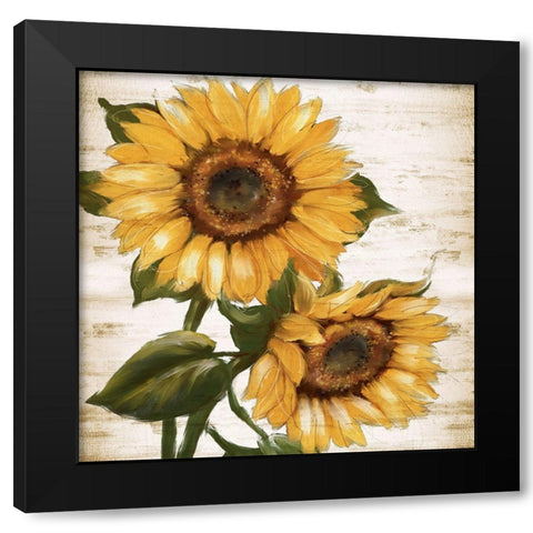 Sunflower Summer II Black Modern Wood Framed Art Print by Knutsen, Conrad