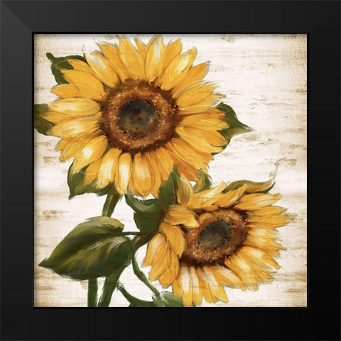 Sunflower Summer II Black Modern Wood Framed Art Print by Knutsen, Conrad