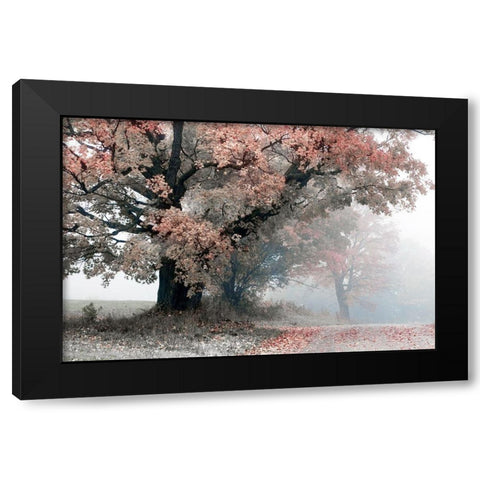 Magical Middle Earth Black Modern Wood Framed Art Print with Double Matting by Sutton, William