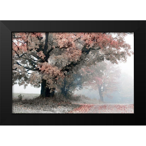 Magical Middle Earth Black Modern Wood Framed Art Print by Sutton, William