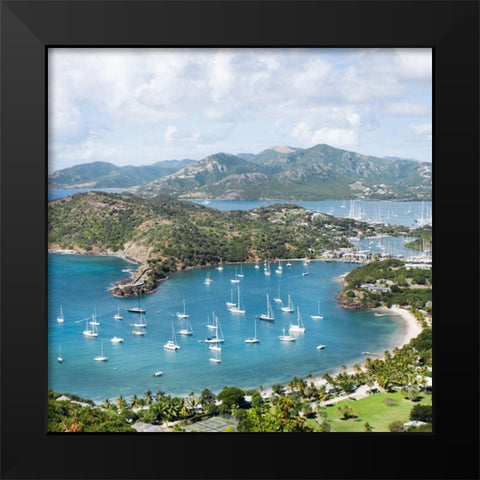 Antigua Black Modern Wood Framed Art Print by Delimont, Danita