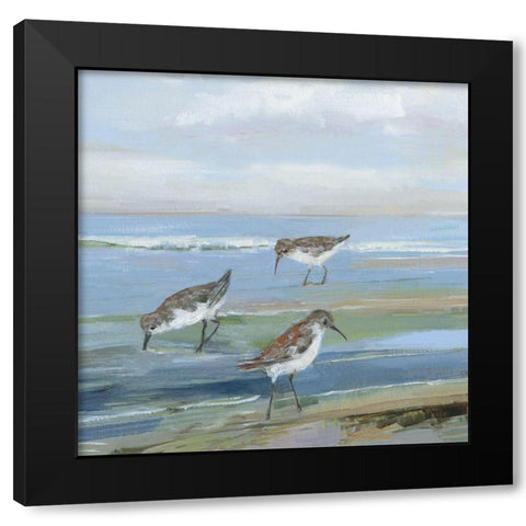 Seabird Beach I Black Modern Wood Framed Art Print with Double Matting by Swatland, Sally