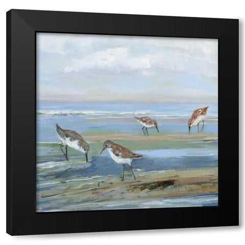 Seabird Beach III Black Modern Wood Framed Art Print with Double Matting by Swatland, Sally