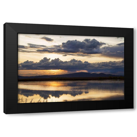 Twilight Symphony Black Modern Wood Framed Art Print by Delimont, Danita