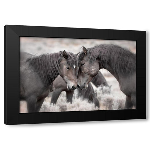 Wild Horses Black Modern Wood Framed Art Print with Double Matting by Ditto, Larry